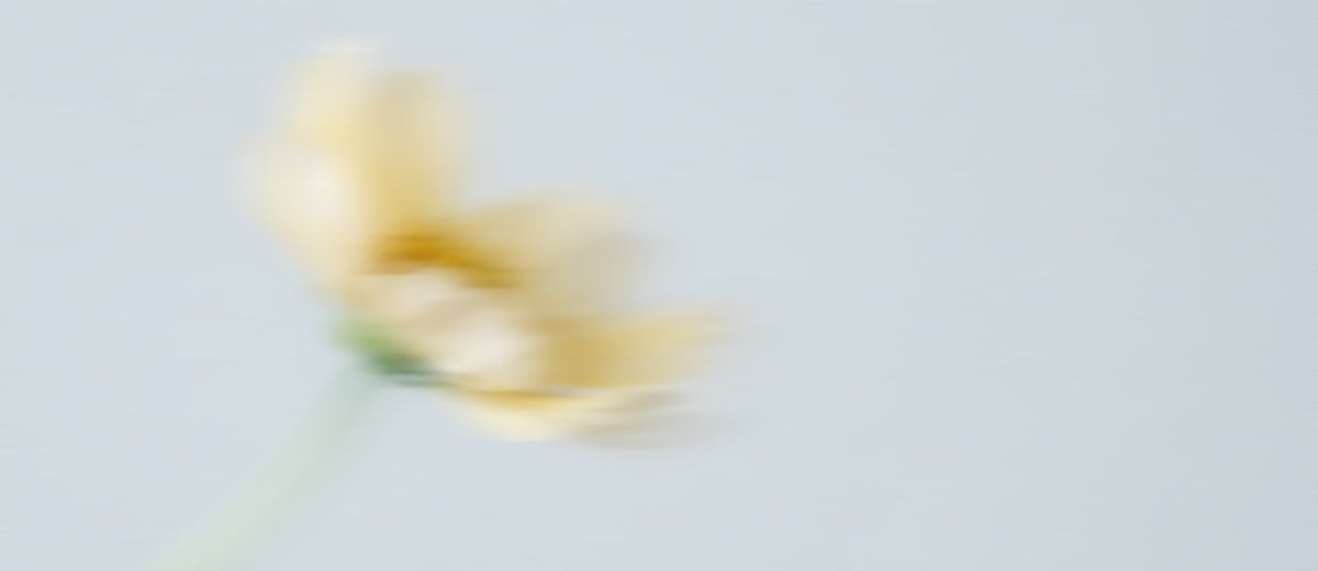 Blurred yellow flower on a light gray background