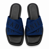Deadly Ponies Logo Slides